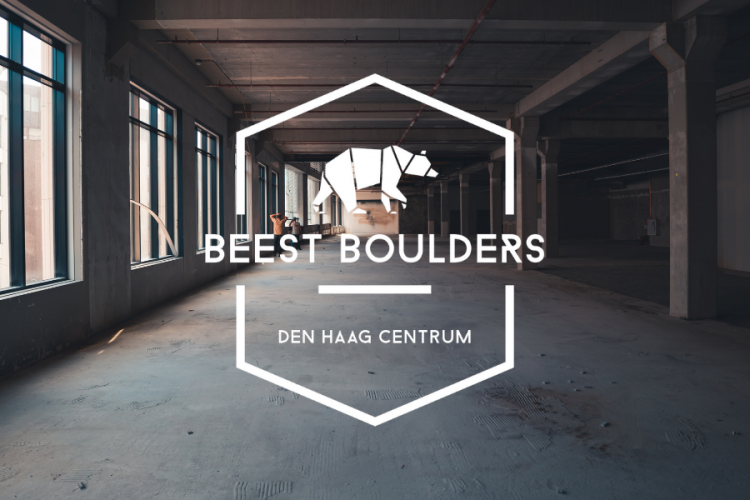 beest-boulders-den-haag-centrum900x700