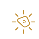 Systeemborden Systeemborden