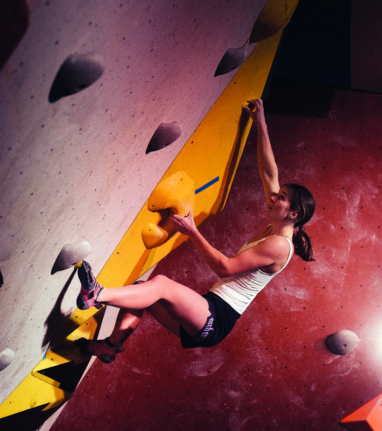 Beest Open DHC compressed